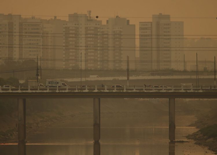 CMN muda regra do Eco Invest para impulsionar projetos verdes