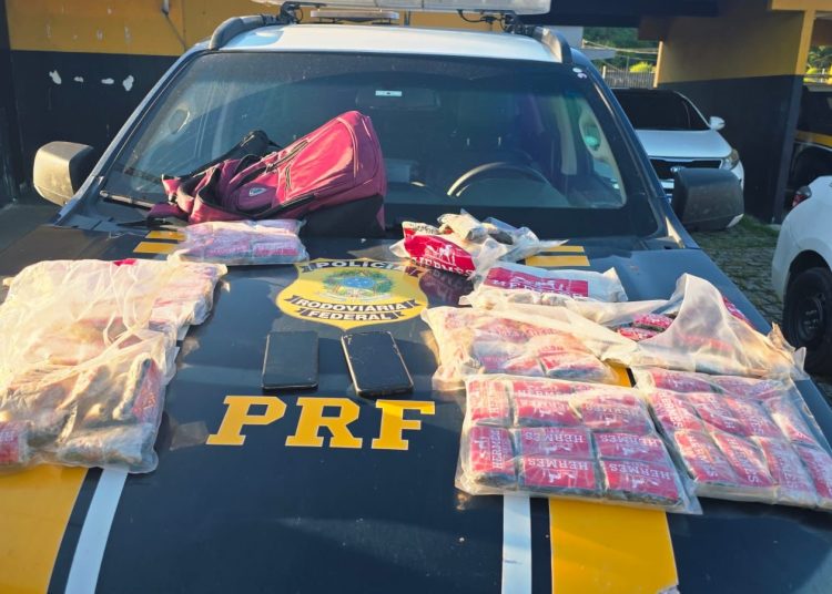 Mais de 10kg de Haxixe são apreendidos durante ação policial e prejuízo ao tráfico é estimado em R$ 1 milhão