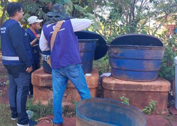Chikungunya: ministro classifica como crítica situação em Dourados