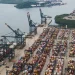 Porto de Santos prioriza desembarque de caminhões com gasolina