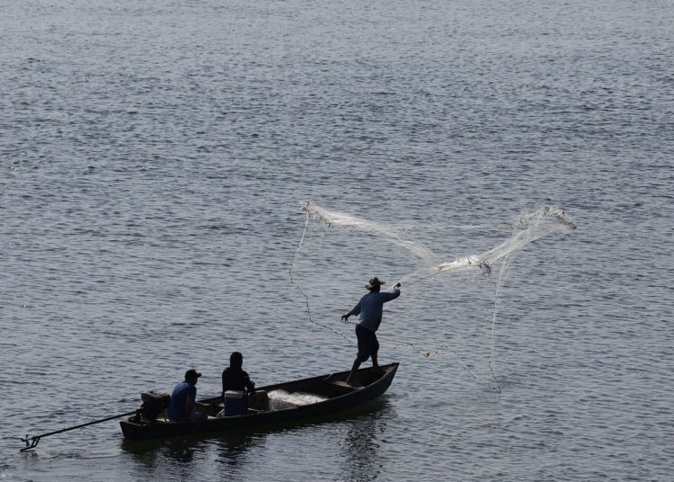 Universidade do Mar se torna realidade no Rio de Janeiro