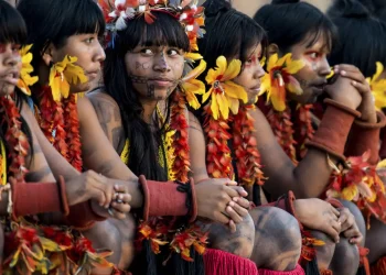 Programa de saúde do governo já atendeu mais de 24 mil indígenas