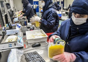 Dia Mundial da Hemofilia: campanha reforça importância do diagnóstico