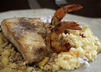 Guia da meca santista: onde comer o prato em Santos