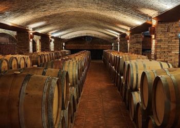 Roteiro pelas vinícolas de altitude em São Joaquim e Urubici