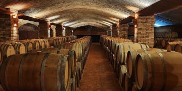 Roteiro pelas vinícolas de altitude em São Joaquim e Urubici