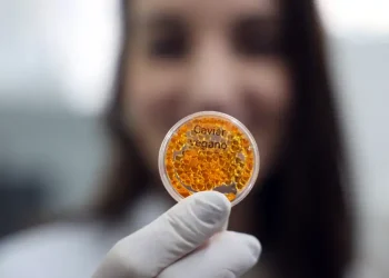 Embrapa produz em laboratório salmão, caviar e anéis de lula veganos