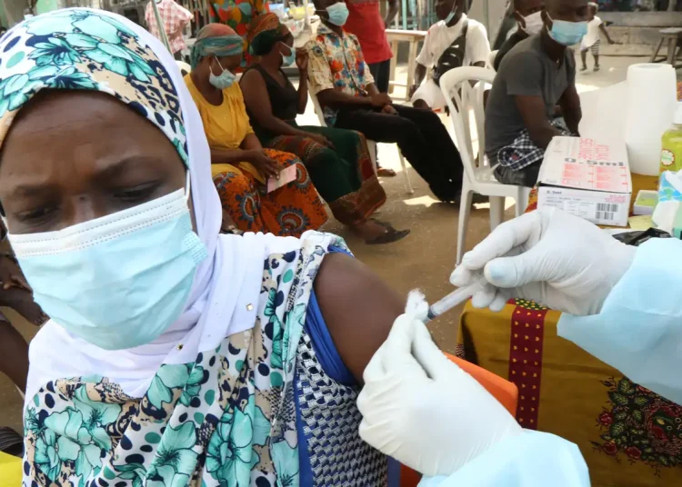 Vacina contra cepa do ebola na África pode demorar até 9 meses