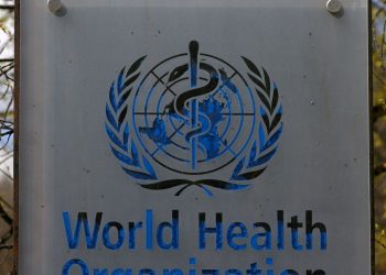 Hantavírus: OMS confirma oito casos de cepa que causou surto em navio