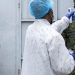 Ebola: veja cronologia da doença e entenda causa de surtos na África
