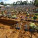 Negacionismo fez brasileiros “perderem” 3,4 anos de vida na pandemia