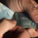 Desenrola Brasil: saiba como usar FGTS para pagar dívidas em atraso