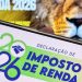 IR 2026: chance maior de inclusão no primeiro lote termina domingo