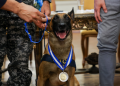 Medalha Tirandentes é entregue para Cão Hulk por atuação na maior apreensão de drogas do Rio