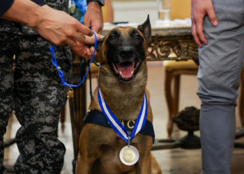Medalha Tirandentes é entregue para Cão Hulk por atuação na maior apreensão de drogas do Rio