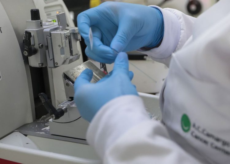 SUS inclui nova terapia para pacientes adultos com leucemia mieloide