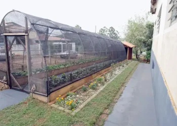Natureza e saberes tradicionais guiam projeto premiado em escola rural