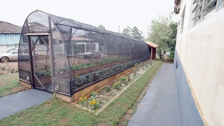 Natureza e saberes tradicionais guiam projeto premiado em escola rural