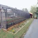 Natureza e saberes tradicionais guiam projeto premiado em escola rural