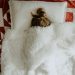 O que fazer quando a cama gelada provoca insônia no inverno