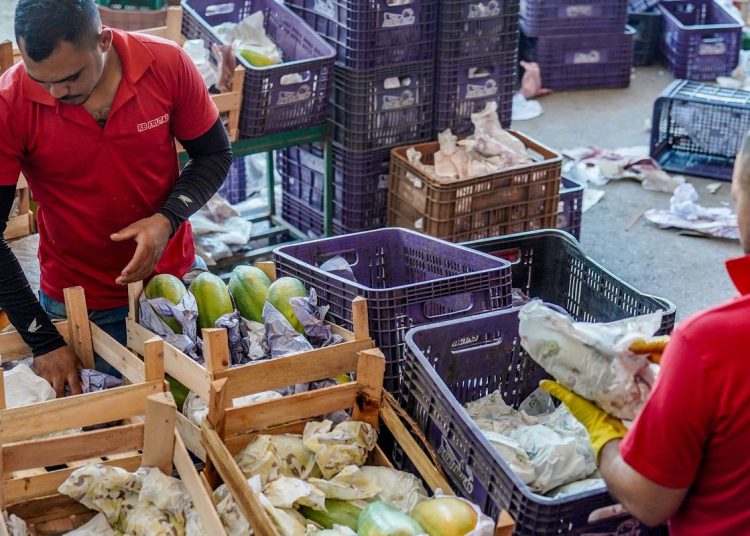 Governo anuncia crédito de R$ 97,3 bi para agricultores familiares