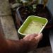 El Niño pode aumentar casos de chikungunya e dengue no Brasil