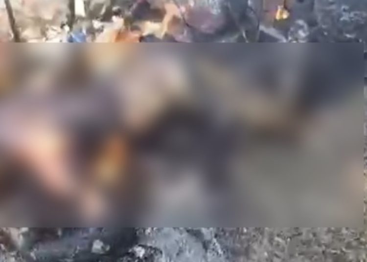 Corpo carbonizado é encontrado em área de mata, em Campos