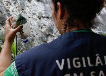 São Paulo tem mais de 58 mil casos de dengue desde o início do ano