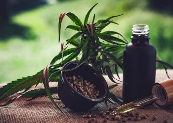 Para associações, normas ainda deixam pontos em aberto sobre cannabis