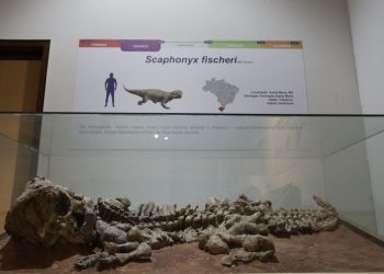 Museu de Ciências da Terra leva “dinossauros” ao Morro da Urca, no Rio