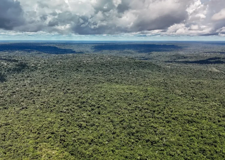 Fazenda autoriza crédito de US$ 1 bilhão do BID para Eco Invest Brasil