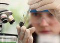 Prêmio para mulheres e meninas cientistas abre inscrições até outubro