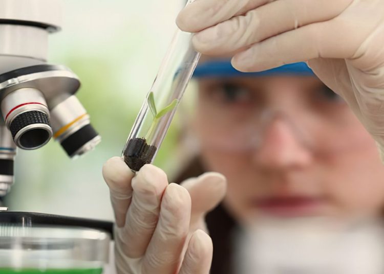 Prêmio para mulheres e meninas cientistas abre inscrições até outubro