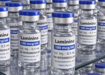 Testes clínicos fase 1 da polilaminina começam este mês