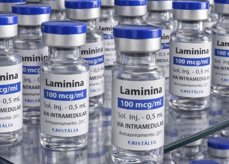 Testes clínicos fase 1 da polilaminina começam este mês