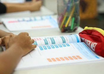 Censo Escolar 2026: dados da 1ª etapa podem ser conferidos até dia 11