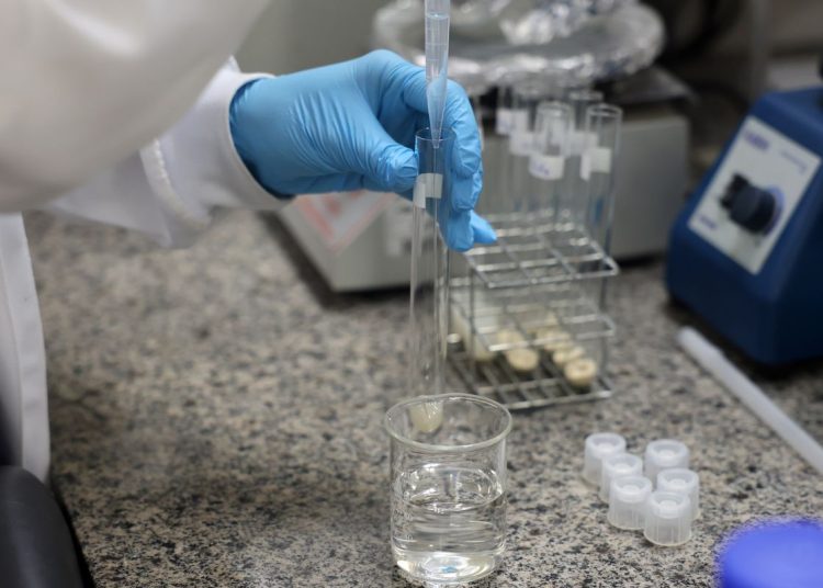 Doença de Newcastle: protocolos sanitários são cumpridos em SC