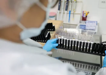 Malária: Anvisa autoriza teste em humanos de vacina 100% brasileira