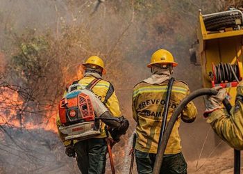 Fiocruz analisa impacto das queimadas na saúde indígena no Amazonas